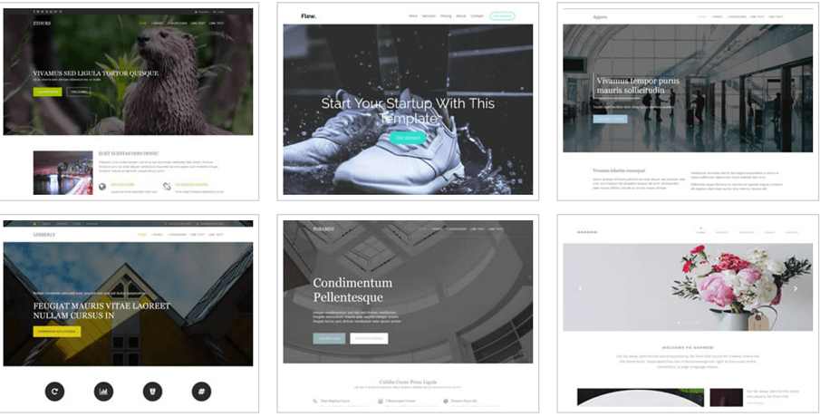 biography website template free download