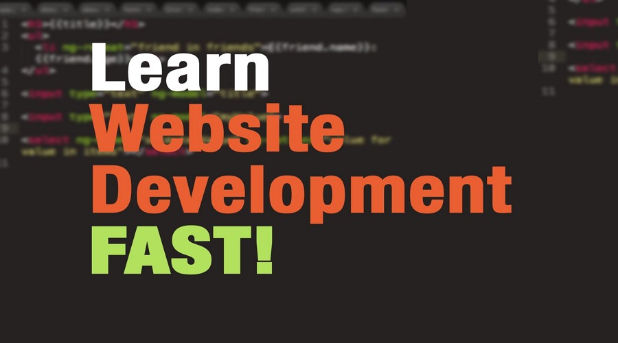 learn web development