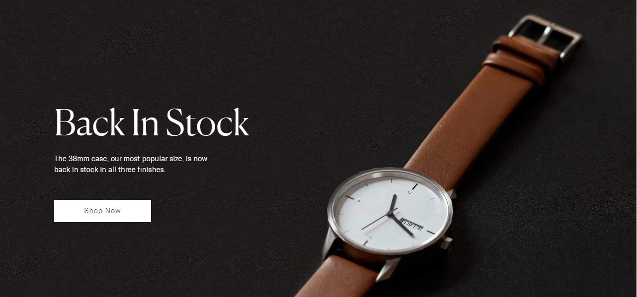 Thinker watches website design