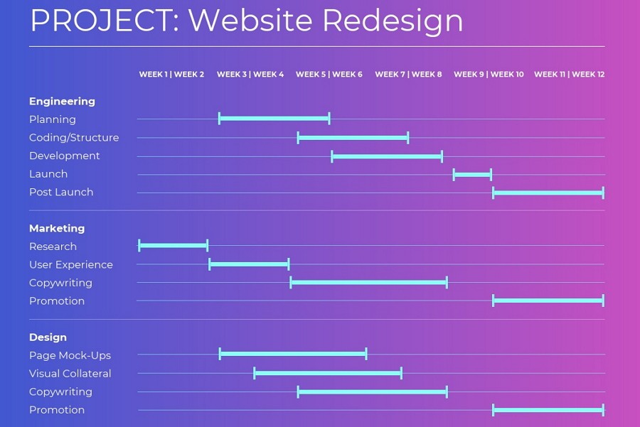 Website Redesign Gantt Chart Example