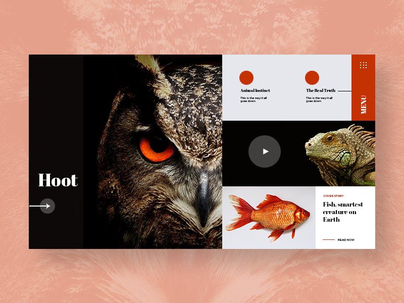 Animal Blog Layout