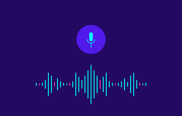 Voice User Interface