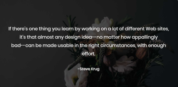 web design quotes from Steve Krug